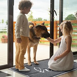 BeneathYourFeet Door Mat (30"x17.5",Grey), Durable Welcome Mat Low Profile Floor Mat Front Doormat Indoor Outdoor Door Rug Non Slip Rugs for Entryway, Patio, High Traffic Areas