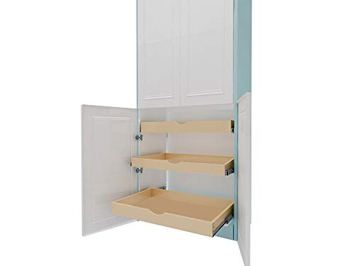 CabinetRTA DIY Slide Out Cabinet Shelf Pull-Out Wood Drawer Storage (W)24 x (D)21, Soft-Close Slide