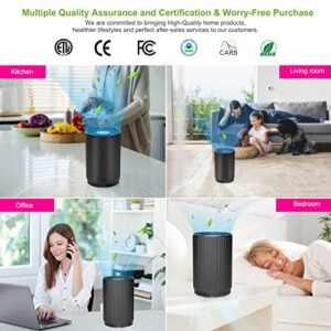 2 Pack Druiap Air Purifiers for Home Bedroom up to 690ft², H13 True HEPA Filter Air Cleaner Filterable 99.97% Micron Particles/Smoke/Pet Dander/Odor/ for Office, Dorm, Apartment, Kitchen (KJ80 Black)