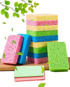 12-count kitchen sponges- compressed cellulose sponges non-scratch natural dish sponge for kitchen bathroom cars, funny cut-outs diy for kids