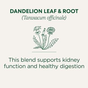 Traditional Medicinals Organic Roasted Dandelion Root Herbal Leaf Tea, 16 Tea Bags (Pack of 6)