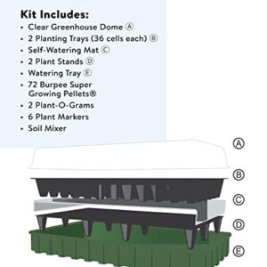 Burpee Self-Watering Seed Starter Tray, 72 Cells