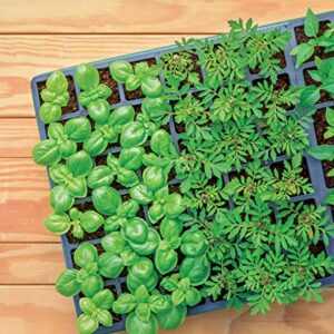 Burpee Self-Watering Seed Starter Tray, 72 Cells