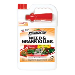 Spectracide Weed & Grass Killer, Use On Driveways, Walkways and Around Trees and Flower Beds, 1 Gallon (RTU Spray)