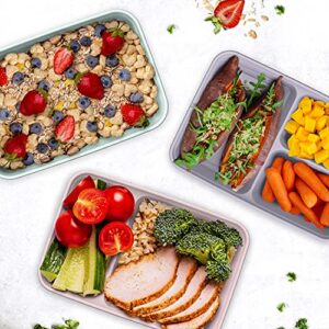 Bentgo® Prep 60-Piece Meal Prep Kit - 1, 2, & 3-Compartment Containers with Custom Fit Lids - Microwaveable, Durable, Reusable, BPA-Free, Freezer & Dishwasher Safe Storage Containers (Floral Pastels)