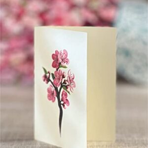 Freshcut Paper Pop Up Cards, Cherry Blossoms, 12 inch Life Sized Forever Flower Bouquet 3D Popup Greeting Cards with Note Card and Envelope - Cherry Blossoms