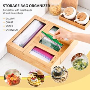 GEYILO Bag Storage Organizer, Storage Bag Organizer, 4 Separate Baggie Organizer, Ziplock Bag Storage Organizer for Kitchen Drawer, Compatible with Gallon, Quart, Sandwich & Snack Variety Size Bags