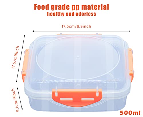 Crafterlife 3 Color Sandwich Containers, Reusable, BPA Free Plastic Food Storage for Sandwich Box Lunch Boxes Meal Prep (Green, Orange, Blue)