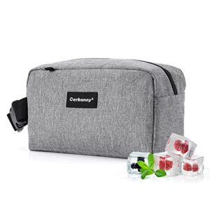 small cooler bag freezable lunch bag for work school travel,leak-proof small lunch bag,small insulated bag for kids/adults,freezer lunch bags,freezable snack bag,mini lunch bag fit for yogurt