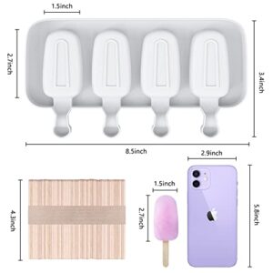 Ouddy Life Popsicle Molds Set of 2, Ice Pop Molds Silicone 4 Cavities Ice Cream Mold Oval Cake Pop Mold with 50 Wooden Sticks for DIY Popsicle, Clear