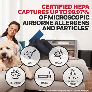 Honeywell HEPA Air Purifier Filter R, 3-Pack for HPA 100/200/300 and 5000 Series - Airborne Allergen Air Filter Targets Wildfire/Smoke, Pollen, Pet Dander, and Dust