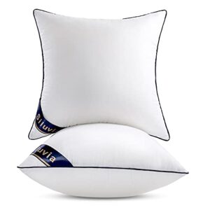siluvia 20″x20″ pillow inserts set of 2 decorative 20″ pillow inserts-square interior sofa throw pillow inserts decorative white pillow insert pair couch pillow (2, 20″x20″ ,2pack)
