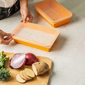 (2 Pack) Large Silicone Freezer Containers For Soup, Pasta Sauce, Leftovers, Broth & More - 6 Cup Reusable BPA Free Non Plastic Food Storage Freezing Trays With Lids & Measurement Lines (2 Pack)