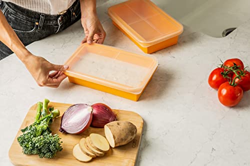 (2 Pack) Large Silicone Freezer Containers For Soup, Pasta Sauce, Leftovers, Broth & More - 6 Cup Reusable BPA Free Non Plastic Food Storage Freezing Trays With Lids & Measurement Lines (2 Pack)