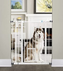 carlson extra tall walk through pet gate with small pet door, includes 4-inch extension kit, 4 pack pressure mount kit and 4 pack wall mount kit