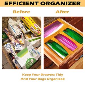 Prolee Ziplock Bag Organizer Bamboo for 4 Size Bags, Gallon, Quart, Sandwich & Snack, Food Storage Bag Organizer