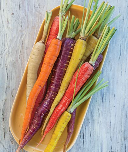 Burpee Kaleidoscope Blend Carrot Seeds | 1500 Non-GMO Seeds | Rainbow Carrot Seeds for Planting | Vegetable Seeds for Planting Home Garden | Five Colors: Red, Orange, Purple, White, and Yellow