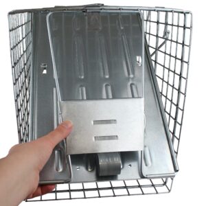 Havahart 1079SR Large 1-Door Humane Catch and Release Live Animal Trap for Raccoons, Cats, Bobcats, Beavers, Small Dogs, Groundhogs, Opossums, Foxes, Armadillos, and Similar-Sized Animals