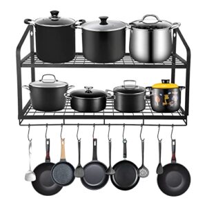 amtiw hanging pot rack, 2 tier pan rack, wall mounted pot holders for kitchen storage, pot and pan organizer with 10 hooks, ideal for pans set, utensils, cookware, household