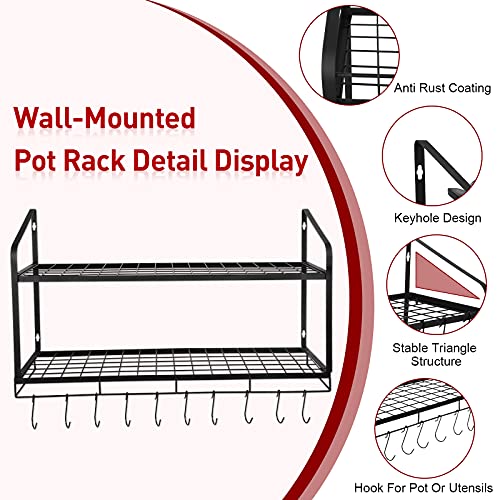 Amtiw Hanging Pot Rack, 2 Tier Pan Rack, Wall Mounted Pot Holders for Kitchen Storage, Pot and Pan Organizer with 10 Hooks, Ideal for Pans Set, Utensils, Cookware, Household