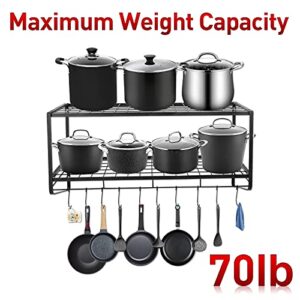 Amtiw Hanging Pot Rack, 2 Tier Pan Rack, Wall Mounted Pot Holders for Kitchen Storage, Pot and Pan Organizer with 10 Hooks, Ideal for Pans Set, Utensils, Cookware, Household