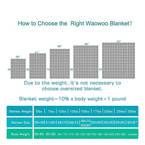 Waowoo Adult Weighted Blanket Queen Size ( 15lbs 60"x80" ) Heavy Blanket with Premium Glass Beads, ( Dark Grey