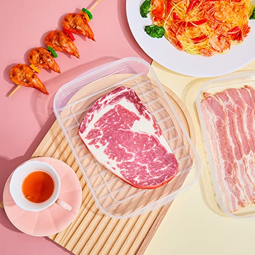 Suclain 4 Pieces Bacon Keeper Plastic Deli Meat Saver with Lids Airtight Cold Cuts Cheese Container for Fridge Food Refrigerator Storage Box Shallow Low Christmas Cookie Holder