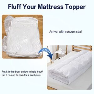 SOPAT Mattress Topper Queen Size Extra Thick Mattress Pad Plush Top 8-21" Deep Pocket Soft Down Alternative Fill Mattress Protector Pillow Top Mattress Cover (60x80 Inches, Plush White)