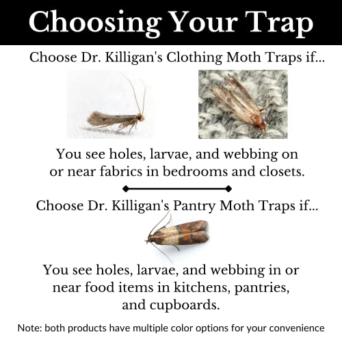 Dr. Killigan's Premium Clothing Moth Traps with Pheromones Prime | 6-Pack Non-Toxic Clothes Moth Trap with Lure for Closets & Carpet | Moth Treatment & Prevention | Case Making & Web Spinning (Black)