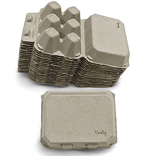 Half Dozen Egg Cartons- Henlay Blank Flat Top Six Pack (20)