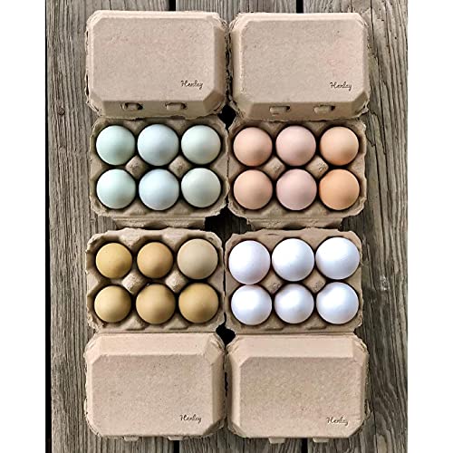 Half Dozen Egg Cartons- Henlay Blank Flat Top Six Pack (20)