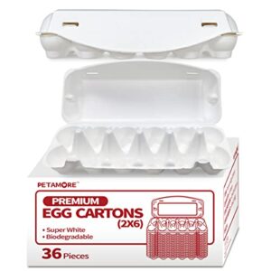 36 White Pulp Egg Cartons Holds 12 Small to Jumbo size Eggs - Strong Sturdy Reusable egg cartons bulk with flat top for personalized egg cartons-Cute egg crates for chicken quail duck goose eggs