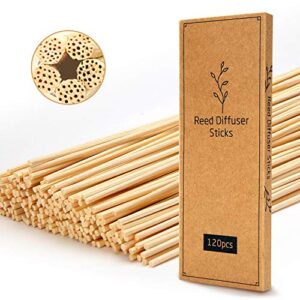 t&c 120pcs reed diffuser sticks,10 inch natural rattan wood sticks,diffuser refills,essential oil aroma diffuser replacements sticks for home,office (natural color)