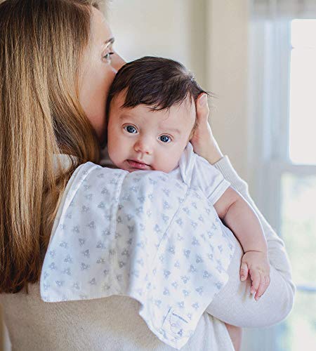 Burt's Bees Baby - 5 Pack of Burp Cloths, 100% Organic Cotton (1 Cloud, 1 Solid Color, 1 Honey Bee, 1 Stripe, 1 Alphabet Bee Print, Heather Grey)