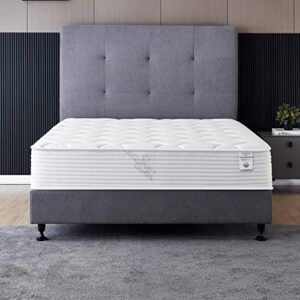 queen size mattress – 10 inch cool memory foam & spring hybrid mattress with breathable cover – comfort plush euro pillow top – rolled in a box – oliver & smith