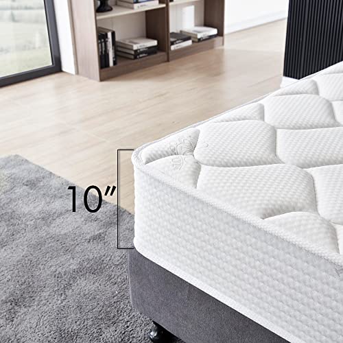 Queen Size Mattress - 10 Inch Cool Memory Foam & Spring Hybrid Mattress with Breathable Cover - Comfort Plush Euro Pillow Top - Rolled in a Box - Oliver & Smith