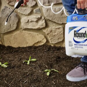 Roundup Ready-To-Use Weed & Grass Killer III -- with Pump 'N Go 2 Sprayer, Use in & Around Vegetable Gardens, Tree Rings, Flower Beds, Patios & More, Kills to the Root, 1.33 gal.