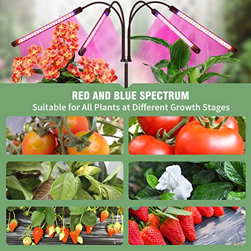 FRENAN Grow Light with Stand, Grow Lights for Indoor Plants with Red Blue Spectrum, 10 Dimmable Brightness, 4/8/12H Timer, 3 Switch Modes, Adjustable Gooseneck, Suitable for Various Plants Growth