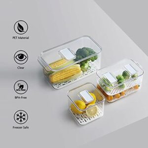 elabo Food Storage Containers Fridge Produce Saver- 3 Piece Set Stackable Refrigerator Organizer Keeper Drawers Bins Baskets with Lids and Removable Drain Tray for Veggie, Berry, Fruits and Vegetables