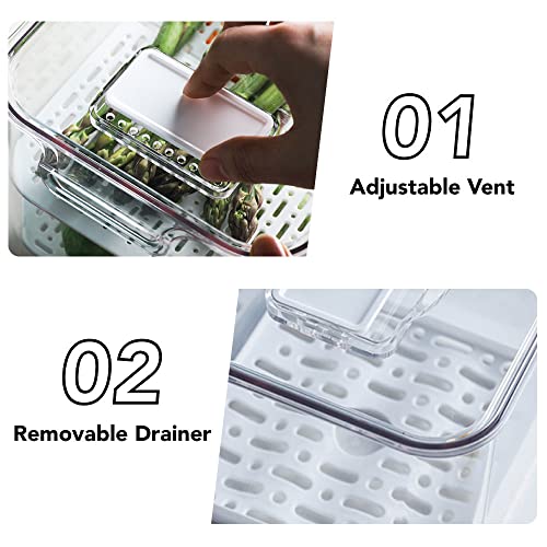 elabo Food Storage Containers Fridge Produce Saver- 3 Piece Set Stackable Refrigerator Organizer Keeper Drawers Bins Baskets with Lids and Removable Drain Tray for Veggie, Berry, Fruits and Vegetables