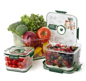 dmagazi fruit storage containers for fridge | 3 set fruit and vegetable storage containers for organizing with strainer | stackable food storage containers with lids airtight