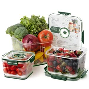 DMagazi Fruit Storage Containers for Fridge | 3 Set Fruit and Vegetable Storage Containers for Organizing with Strainer | Stackable Food Storage Containers With Lids Airtight