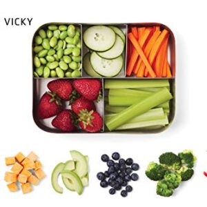 Bits Kits Stainless Steel Bento Box Lunch and Snack Container for Kids and Adults, 5 Sections