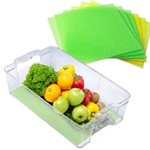 Dualplex® Fruit & Veggie Life Extender Liner for Refrigerator Fridge Drawers, 12 X 15 Inches, 6 Pack Includes 3 Yellow 3 Green – Extends The Life of Your Produce Stays Fresh & Prevents Spoilage