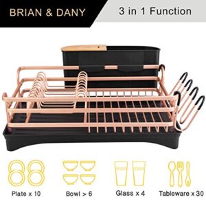 BRIAN & DANY Aluminum Dish Drainer, Dish Drying Rack with Removable Cutlery Holder & Cup Holder, Unique 360° Swivel Spout Drain Board, Golden