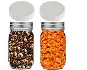 jarming collections mason jars 16 oz – glass jars with plastic lids- glass storage jars with regular mouth lids- jars with lids- canning jars, pint jars- set of 2, 16 oz mason jars, white lids