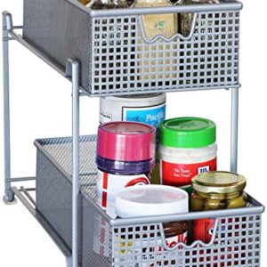 DecoBros 2 Tier Mesh Sliding Cabinet Basket Organizer Drawer,Silver