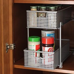 DecoBros 2 Tier Mesh Sliding Cabinet Basket Organizer Drawer,Silver