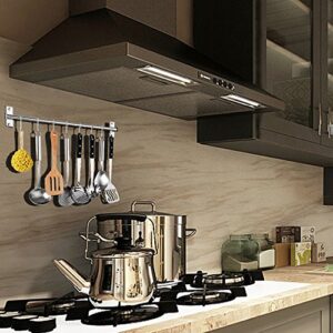 Petilleur Kitchen Sliding Hooks, Stainless Steel Hanging Rack Rail Organize Kitchen Tools with 10 Utensil Removable S Hooks for Towel, Spoon, Coats, Bathrobe, BBQ,Wall Mounted Hanger (60CM 10 Hooks)