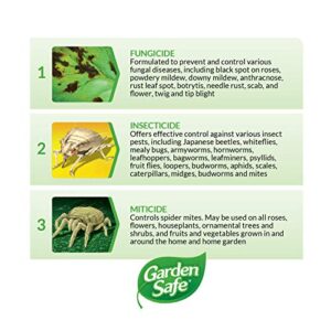 Garden Safe Fungicide, Prevents Fungal Diseases, Controls Black Spot, Rust and Powdery Mildew, Aphids, Whiteflies, Spider Mites, (RTU Spray) 24 fl Ounce